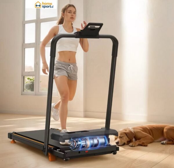 img_5786 Loopband voor Thuis CS1000